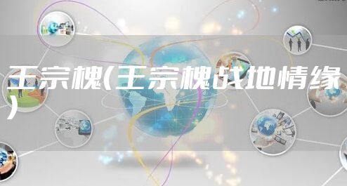 王宗槐（王宗槐战地情缘）