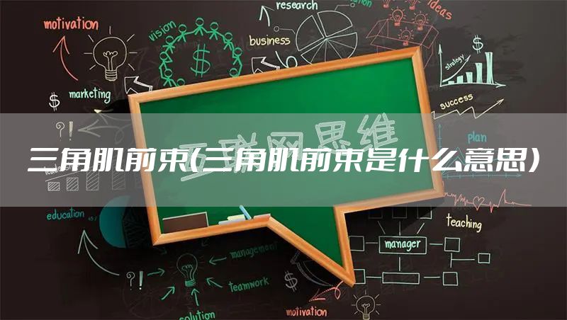 三角肌前束（三角肌前束是什么意思）