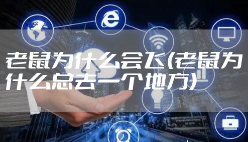 老鼠为什么会飞(老鼠为什么总去一个地方)