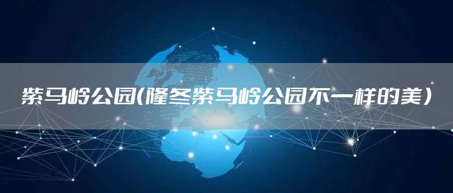紫马岭公园（隆冬紫马岭公园不一样的美）