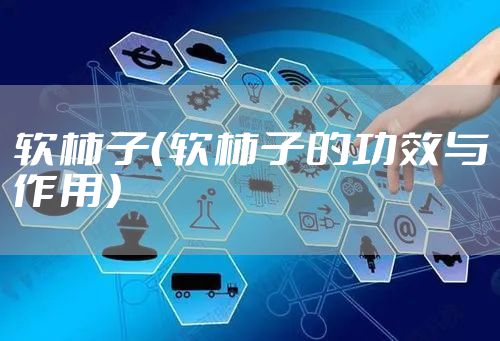 软柿子（软柿子的功效与作用）