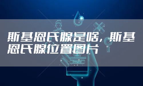 斯基恩氏腺是啥，斯基恩氏腺位置图片