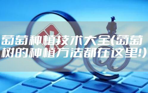 葡萄种植技术大全（葡萄树的种植方法都在这里！）