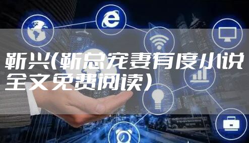 靳兴（靳总宠妻有度小说全文免费阅读）