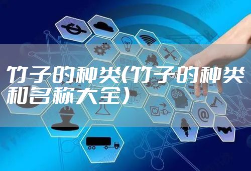 竹子的种类（竹子的种类和名称大全）