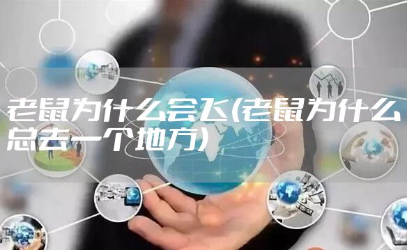 老鼠为什么会飞(老鼠为什么总去一个地方)