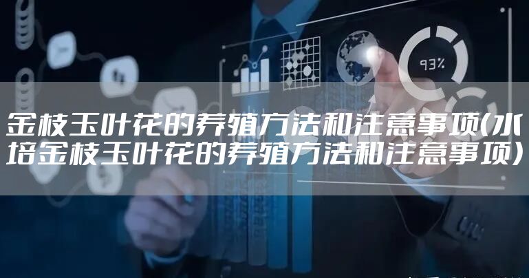 金枝玉叶花的养殖方法和注意事项（水培金枝玉叶花的养殖方法和注意事项）