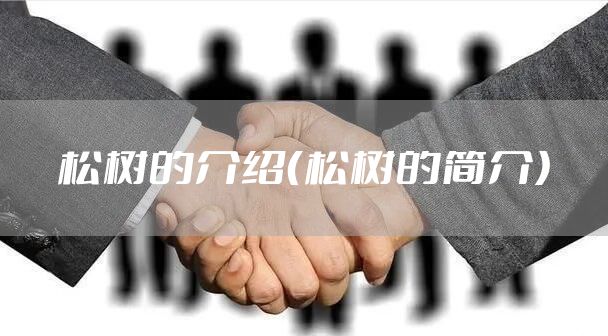 松树的介绍（松树的简介）