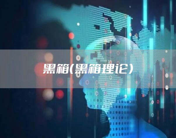 黑箱（黑箱理论）