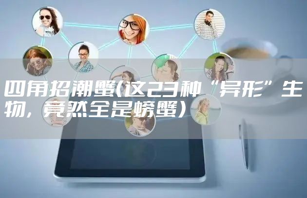 四角招潮蟹（这23种“异形”生物，竟然全是螃蟹）