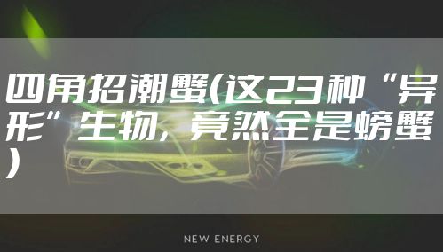 四角招潮蟹（这23种“异形”生物，竟然全是螃蟹）