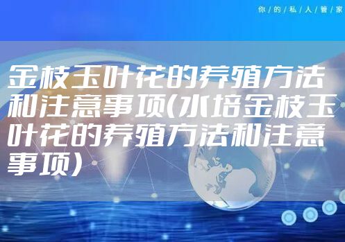 金枝玉叶花的养殖方法和注意事项（水培金枝玉叶花的养殖方法和注意事项）