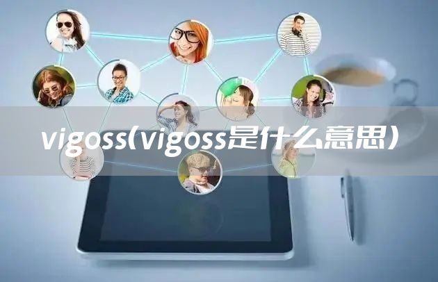 vigoss（vigoss是什么意思）