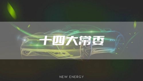 十四大常委