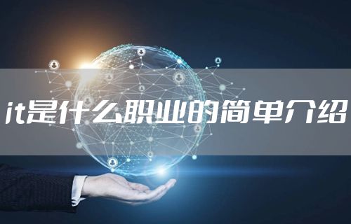 it是什么职业的简单介绍