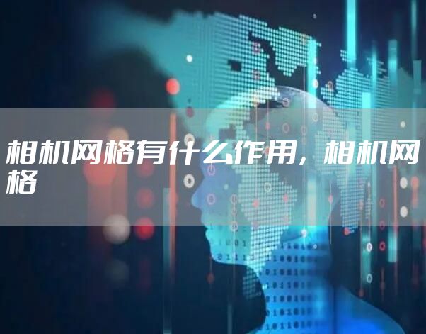 相机网格有什么作用，相机网格