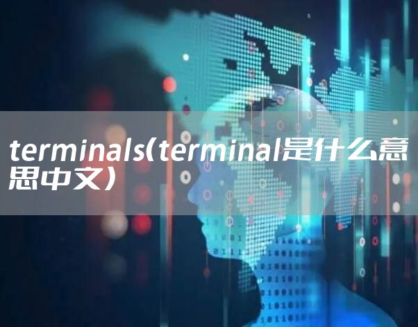terminals（terminal是什么意思中文）