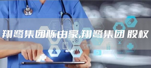 翔鹭集团陈由豪,翔鹭集团 股权