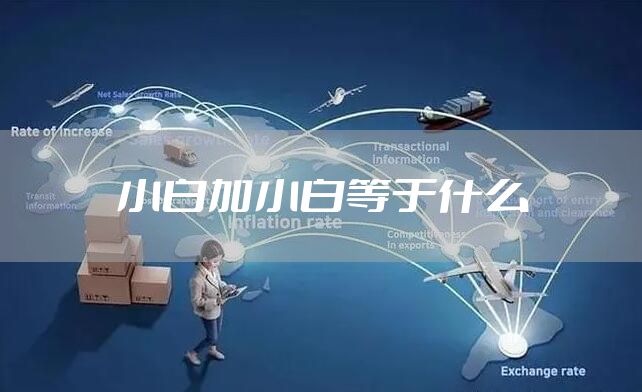 小白加小白等于什么