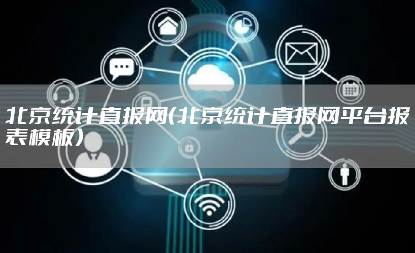 北京统计直报网（北京统计直报网平台报表模板）