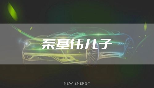 秦基伟儿子