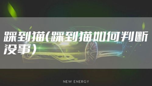 踩到猫（踩到猫如何判断没事）
