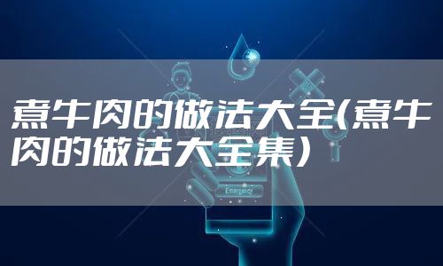煮牛肉的做法大全（煮牛肉的做法大全集）
