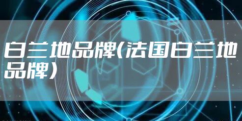 白兰地品牌（法国白兰地品牌）
