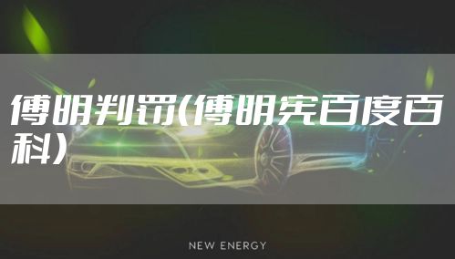 傅明判罚（傅明宪百度百科）
