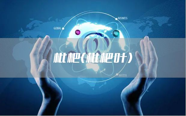 枇杷（枇杷叶）
