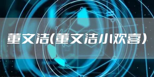 董文洁（董文洁小欢喜）