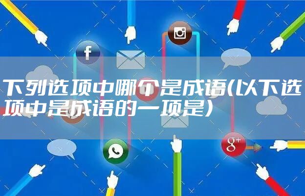 下列选项中哪个是成语（以下选项中是成语的一项是）