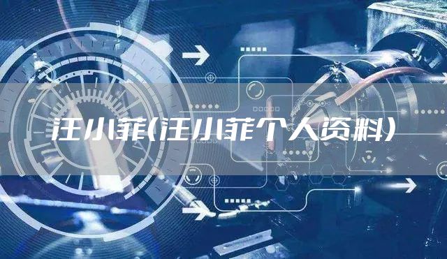 汪小菲（汪小菲个人资料）