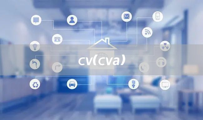 cv（cva）