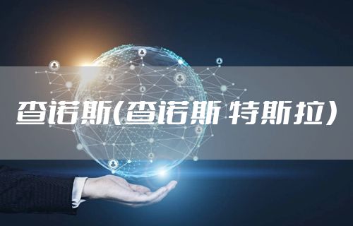查诺斯（查诺斯 特斯拉）