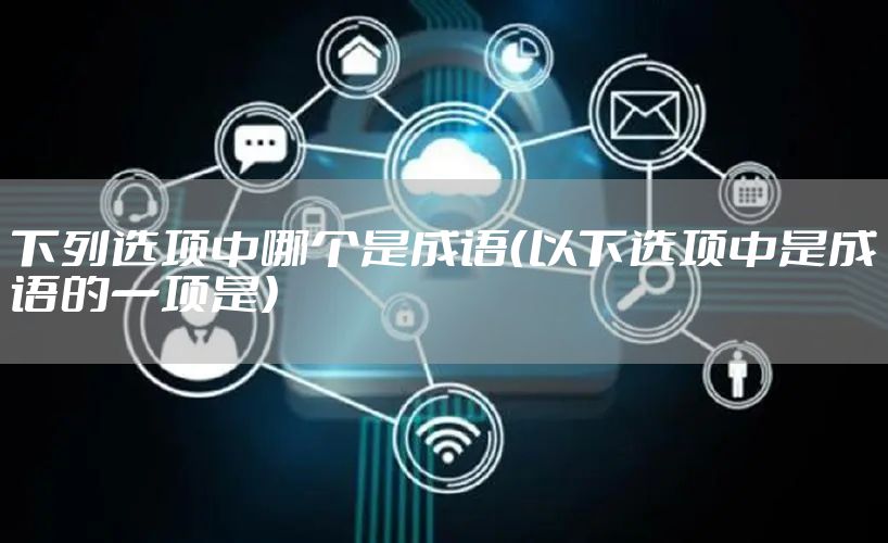 下列选项中哪个是成语（以下选项中是成语的一项是）