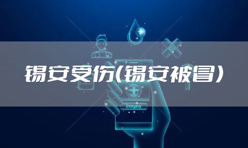 锡安受伤（锡安被冒）