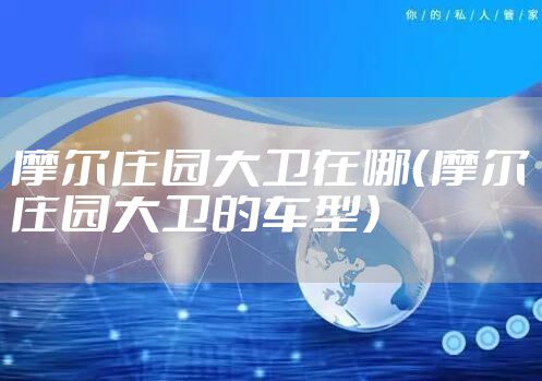 摩尔庄园大卫在哪（摩尔庄园大卫的车型）