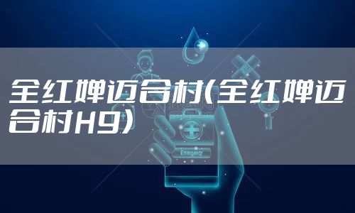 全红婵迈合村（全红婵迈合村H9）