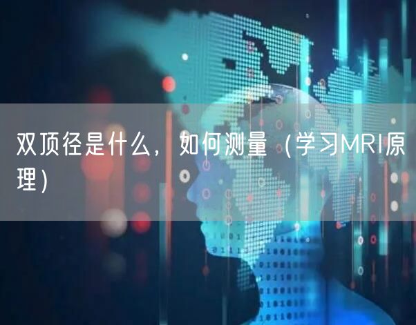 双顶径是什么，如何测量（学习MRI原理）