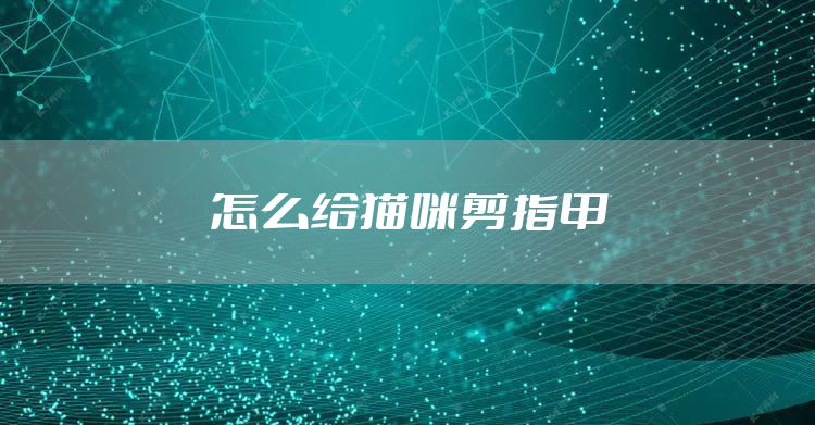 怎么给猫咪剪指甲
