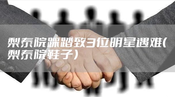 梨泰院踩踏致3位明星遇难（梨泰院鞋子）