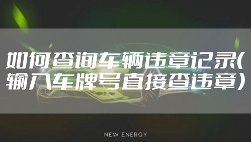 如何查询车辆违章记录（输入车牌号直接查违章）