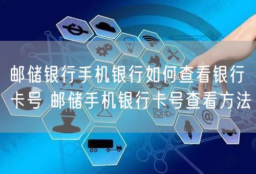 邮储银行手机银行如何查看银行卡号 邮储手机银行卡号查看方法