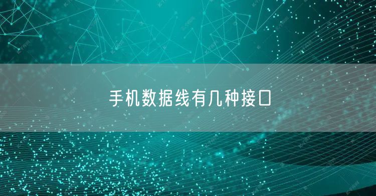 手机数据线有几种接口