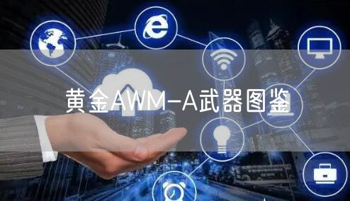 黄金AWM-A武器图鉴