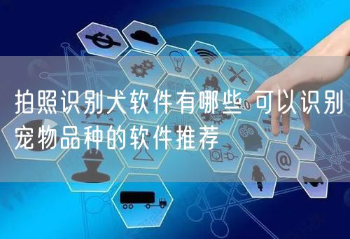 拍照识别犬软件有哪些 可以识别宠物品种的软件推荐