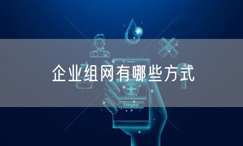 企业组网有哪些方式