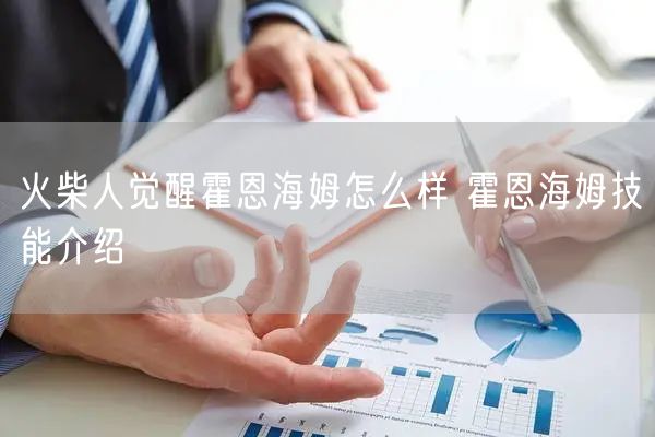 火柴人觉醒霍恩海姆怎么样 霍恩海姆技能介绍