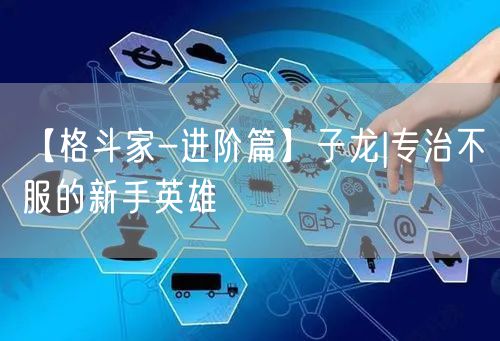 【格斗家-进阶篇】子龙|专治不服的新手英雄